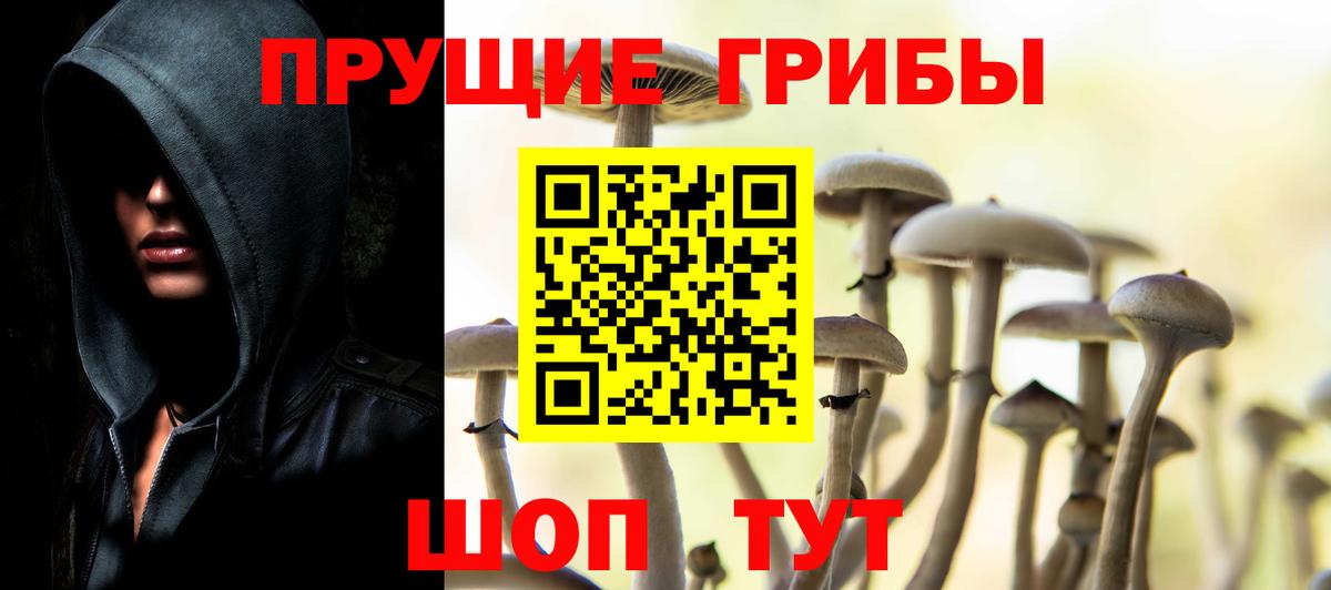 Галлюциногенные грибы Cubensis Астрахань